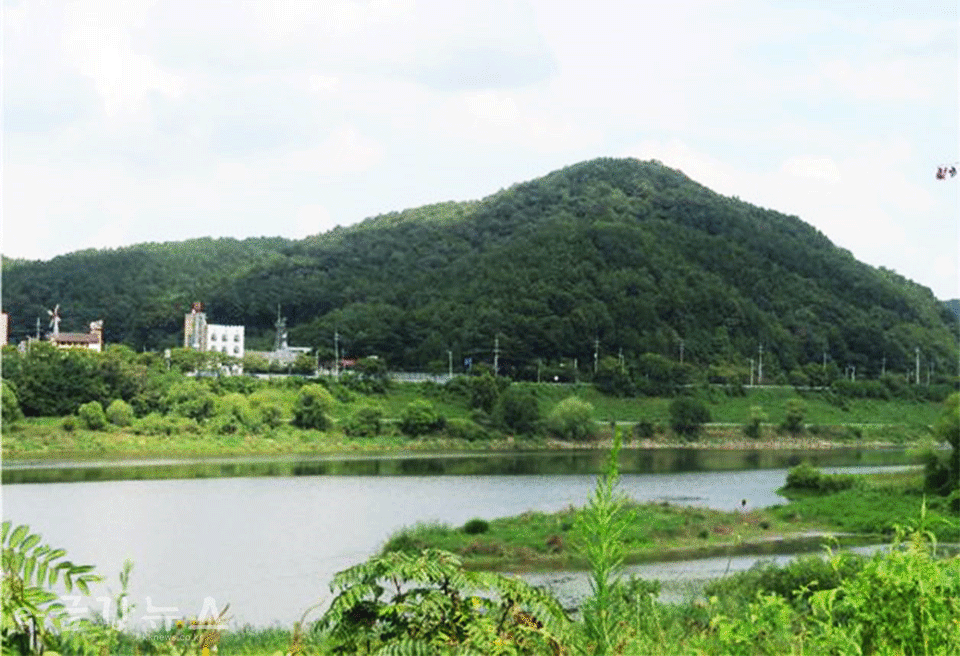 고려 공신 이도의 선대 묘소가 자리한 금강변의 이산(李山)
