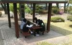 점심시간에 학교정원 벤치에서 학생들이 책을 읽고 있다